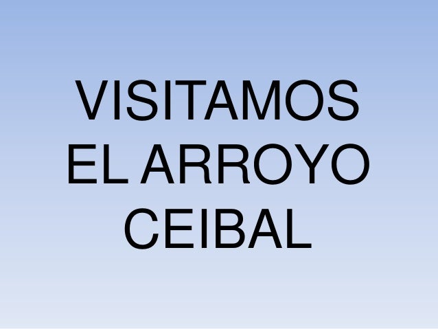 Fotos del arroyo Ceibal