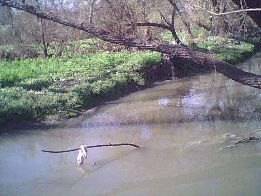Fotos del arroyo Ceibal