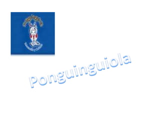 Ponguinguiola 