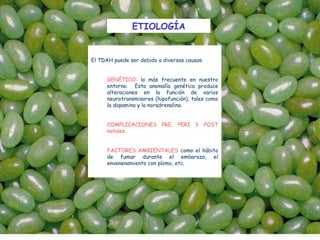 ETIOLOGÍA


El TDAH puede ser debido a diversas causas:
 
      GENÉTICO: lo más frecuente en nuestro
      entorno. Esta anomalía genética produce
      alteraciones en la función de varios
      neurotransmisores (hipofunción), tales como
      la dopamina y la noradrenalina.  


      COMPLICACIONES PRE, PERI Y POST
      natales.
 
      FACTORES AMBIENTALES como el hábito
      de fumar durante el embarazo, el
      envenenamiento con plomo, etc.
 