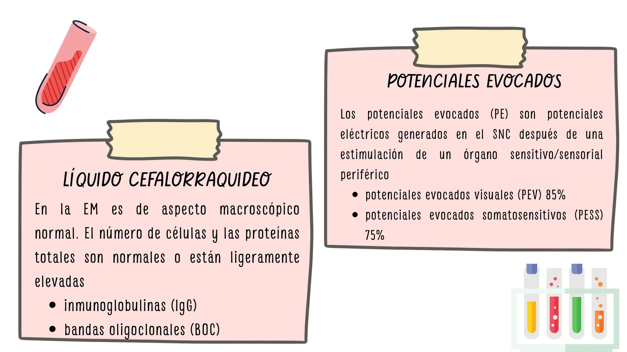 inmunoglobulinas (IgG)
bandas oligoclonales (BOC)
LÍQUIDO CEFALORRAQUIDEO
En la EM es de aspecto macroscópico
normal. El número de células y las proteínas
totales son normales o están ligeramente
elevadas
POTENCIALES EVOCADOS
potenciales evocados visuales (PEV) 85%
potenciales evocados somatosensitivos (PESS)
75%
Los potenciales evocados (PE) son potenciales
eléctricos generados en el SNC después de una
estimulación de un órgano sensitivo/sensorial
periférico
 