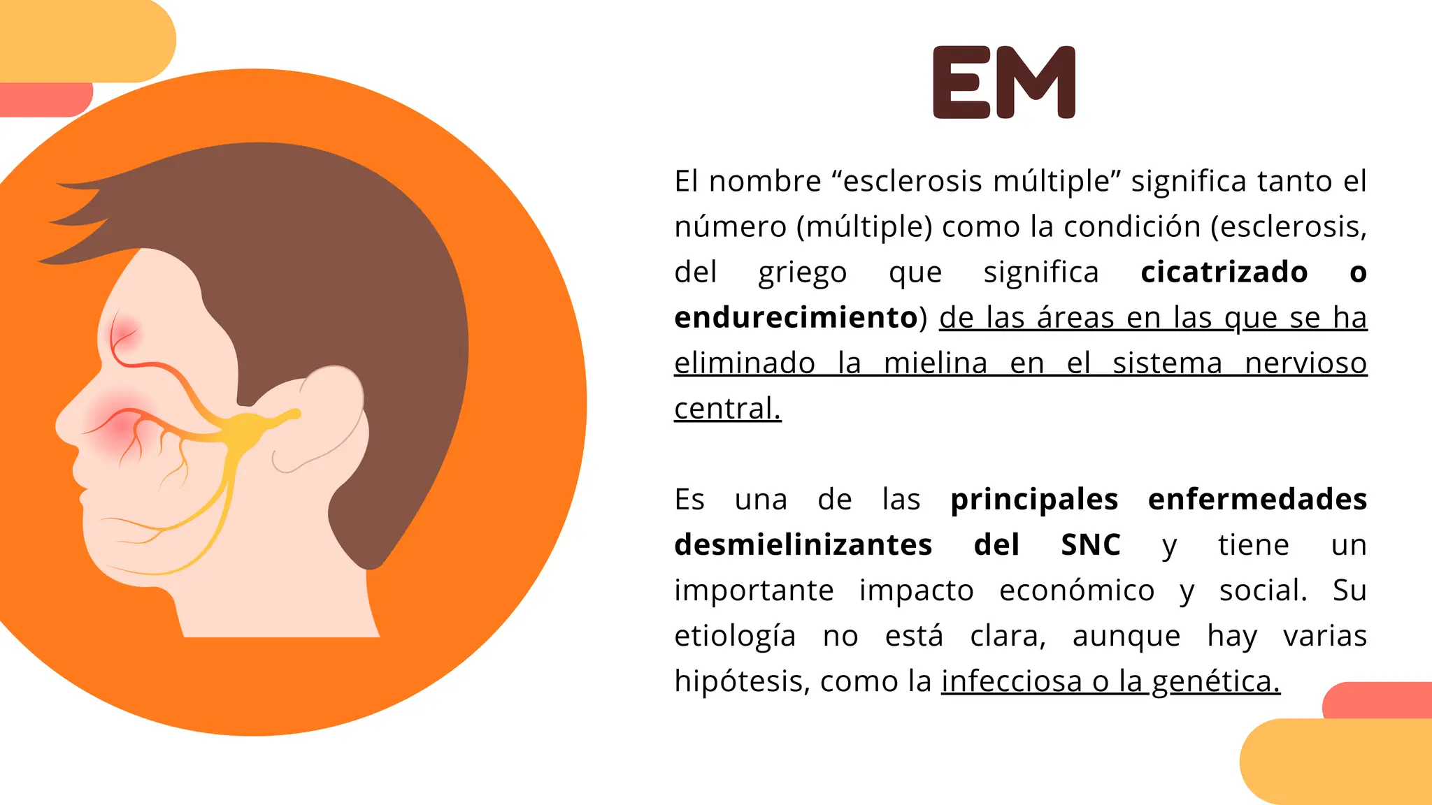 EM
El nombre “esclerosis múltiple” significa tanto el
número (múltiple) como la condición (esclerosis,
del griego que significa cicatrizado o
endurecimiento) de las áreas en las que se ha
eliminado la mielina en el sistema nervioso
central.
Es una de las principales enfermedades
desmielinizantes del SNC y tiene un
importante impacto económico y social. Su
etiología no está clara, aunque hay varias
hipótesis, como la infecciosa o la genética.
 