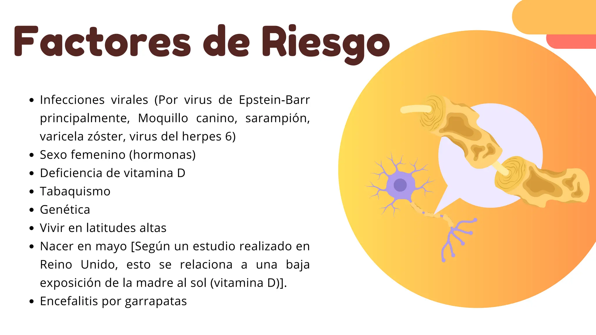 Factores de Riesgo
Infecciones virales (Por virus de Epstein-Barr
principalmente, Moquillo canino, sarampión,
varicela zóster, virus del herpes 6)
Sexo femenino (hormonas)
Deficiencia de vitamina D
Tabaquismo
Genética
Vivir en latitudes altas
Nacer en mayo [Según un estudio realizado en
Reino Unido, esto se relaciona a una baja
exposición de la madre al sol (vitamina D)].
Encefalitis por garrapatas
 