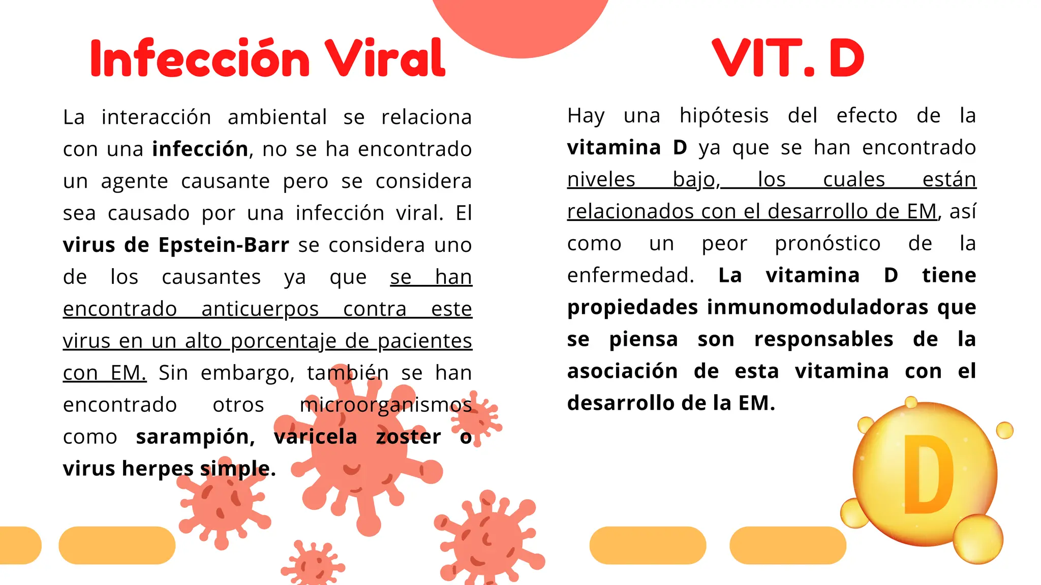 Infección Viral
La interacción ambiental se relaciona
con una infección, no se ha encontrado
un agente causante pero se considera
sea causado por una infección viral. El
virus de Epstein-Barr se considera uno
de los causantes ya que se han
encontrado anticuerpos contra este
virus en un alto porcentaje de pacientes
con EM. Sin embargo, también se han
encontrado otros microorganismos
como sarampión, varicela zoster o
virus herpes simple.
Hay una hipótesis del efecto de la
vitamina D ya que se han encontrado
niveles bajo, los cuales están
relacionados con el desarrollo de EM, así
como un peor pronóstico de la
enfermedad. La vitamina D tiene
propiedades inmunomoduladoras que
se piensa son responsables de la
asociación de esta vitamina con el
desarrollo de la EM.
VIT. D
 