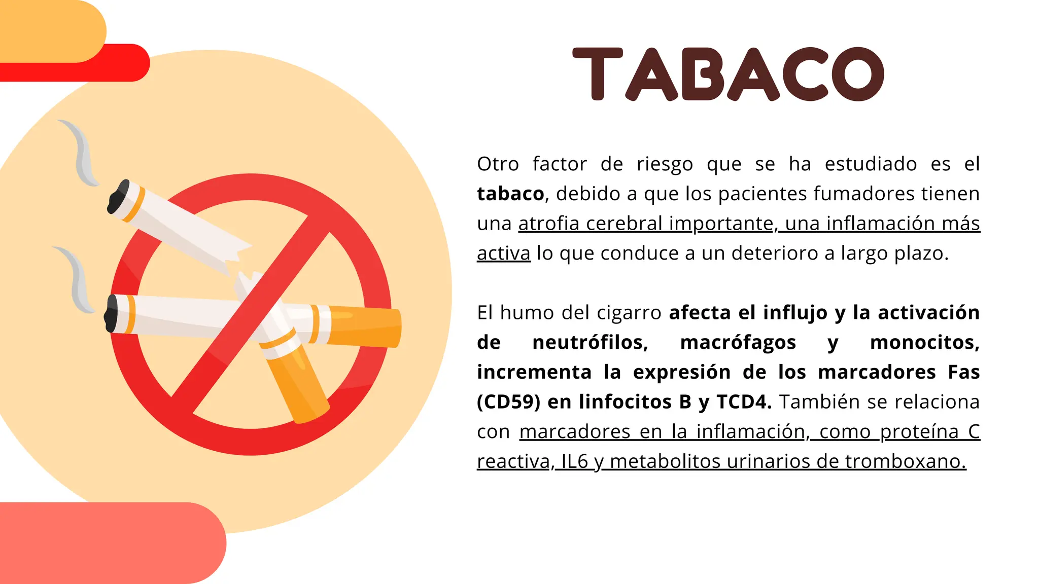 TABACO
Otro factor de riesgo que se ha estudiado es el
tabaco, debido a que los pacientes fumadores tienen
una atrofia cerebral importante, una inflamación más
activa lo que conduce a un deterioro a largo plazo.
El humo del cigarro afecta el influjo y la activación
de neutrófilos, macrófagos y monocitos,
incrementa la expresión de los marcadores Fas
(CD59) en linfocitos B y TCD4. También se relaciona
con marcadores en la inflamación, como proteína C
reactiva, IL6 y metabolitos urinarios de tromboxano.
 