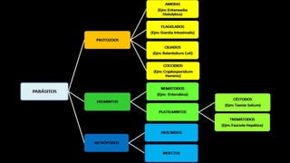 Presentación PARASITOLOGIA IUTEPAL.pptx