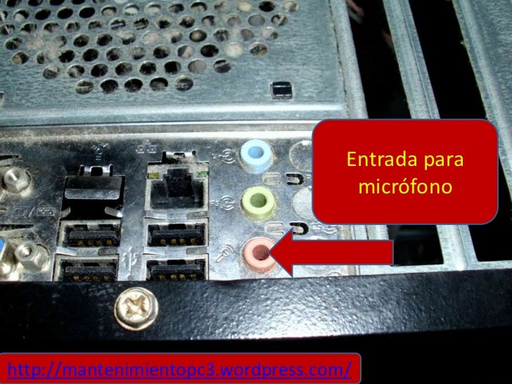 Las conexiones de la parte trasera del gabinete