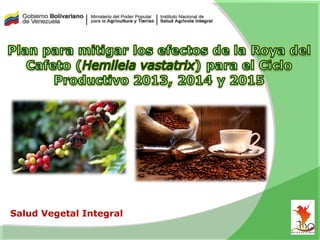 Salud Vegetal Integral
 