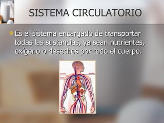 SISTEMA CIRCULATORIO Es el sistema encargado de transportar todas las sustancias, ya sean nutrientes, oxígeno o desechos por todo el cuerpo. 