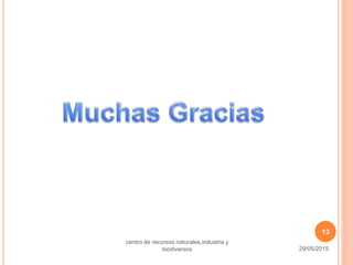 29/05/2015
13
centro de recursos naturales,industria y
biodiversos
 