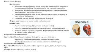 Nervio facial (NC VII)
Nervio mixto:
◦ Músculos de la expresión facial, músculos de la cavidad timpánica,
músculo estilohiodeo y vientre posterior del músculo digástrico.
◦ Inervación autónoma para glándulas lagrimales, submandibulares,
sublinguales y salivares menores.
◦ Sensibilidad general para la piel de conducto auditivo externo y la
cara interna de la oreja.
◦ Gusto de los dos tercios anteriores de la lengua.
Origen aparente: en el surco bulbo-protuberancial.
Origen real:
◦ Núcleo motor principal (tegmento protuberancial).
◦ Porción superior del núcleo del tracto solitario (bulbo raquídeo).
◦ Núcleos salivar superior y lagrimal (tegmento protuberancial, lateral
al núcleo motor principal).
Núcleo espinal del trigémino
Inervación: Motor facial: musculo de la parte superior de la cara
Salivatorio: glándulas lagrimales, nasales y sublinguales
Núcleo tracto solitario: dos tercios anteriores de la lengua
aurícula acústica externa.
Función: Movimiento facial, salivación y lagrimeo, gusto, dolor, temperatura y
tacto.
Lesión: Parálisis facial, parálisis de bell
 