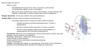 Nervio trigémino (NC V)
Nervio mixto:
◦ Sensibilidad de la piel de la cara, mucosas y estructuras
craneofaciales (globo ocular, meninges).
◦ Músculos de la masticación, tensor del tímpano, tensor del velo del
paladar, milohiodeo y vientre anterior del músculo digástrico.
Origen Aparente: en la cara anterior de la protuberancia.
Origen Real: Núcleo motor principal (protuberancia).
◦ Complejo trigeminal (a lo largo de todo el tallo cerebral):
◦ Núcleo sensitivo principal (protuberancia)  dolor u
temperatura.
◦ Núcleo espinal (bulbo raquídeo)  tacto y presión.
◦ Núcleo mesencefálico (tegmento mesencefálico) 
propiocepción de músculos masticatorios.
Inervación: Musculo de la masticación, tensor del tímpano, tensor velo del
paladar, vientre anterior del digástrico.
Función: Masticador, apertura y cierre de la boca.
Tacto simple y discriminativo
Propiocepción de la articulación temporomandibular
Dolor y temperatura
Lesión: neuralgia del trigémino, parestesias, desviación de la mandíbula,
perdida de sensibilidad táctil, perdida del reflejo de estornudo.
 