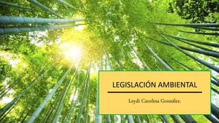 LEGISLACIÓN AMBIENTAL
Leydi Carolina González.
 