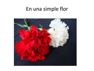 En una simple flor
 