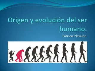 Origen y evolución del ser humano. Patricia Navalón 