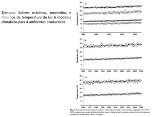 Modelos de crecimiento y fenología de cultivos aplicados al manejo integrado de enfermedades. 
