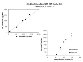 Modelos de crecimiento y fenología de cultivos aplicados al manejo integrado de enfermedades. 