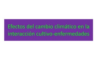 Modelos de crecimiento y fenología de cultivos aplicados al manejo integrado de enfermedades. 