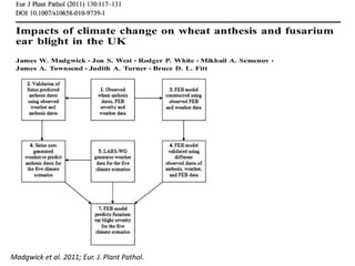 Modelos de crecimiento y fenología de cultivos aplicados al manejo integrado de enfermedades. 