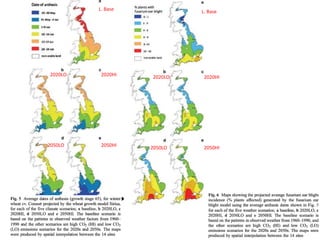 Modelos de crecimiento y fenología de cultivos aplicados al manejo integrado de enfermedades. 
