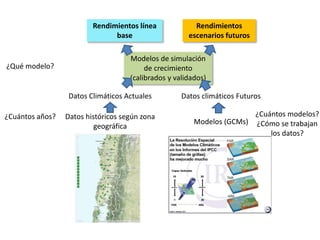 Modelos de crecimiento y fenología de cultivos aplicados al manejo integrado de enfermedades. 
