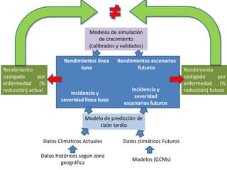Modelos de crecimiento y fenología de cultivos aplicados al manejo integrado de enfermedades. 