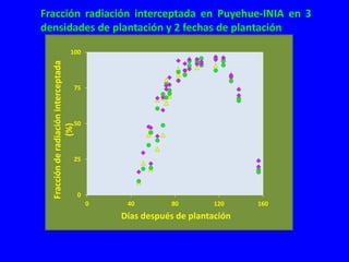 Modelos de crecimiento y fenología de cultivos aplicados al manejo integrado de enfermedades. 
