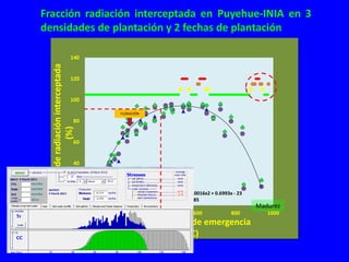 Modelos de crecimiento y fenología de cultivos aplicados al manejo integrado de enfermedades. 