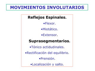 MOVIMIENTOS INVOLUTARIOS Reflejos Espinales . Flexor. Miotático. Extensor . Suprasegmentarios . Tónico actidudinales. Rectificación del equilibrio. Prensión. Localización y salto. 