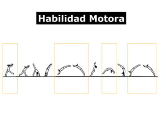 Habilidad Motora 