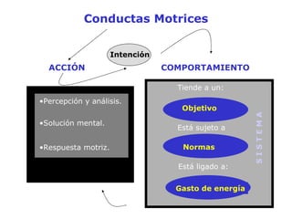 Conductas Motrices ACCIÓN COMPORTAMIENTO Intención Tiende a un: Está sujeto a Está ligado a: S I S T E M A Percepción y análisis. Solución mental. Respuesta motriz. Objetivo Normas Gasto de energía 