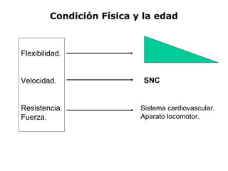 Flexibilidad. Velocidad. Resistencia. Fuerza. Condición Física y la edad SNC Sistema cardiovascular. Aparato locomotor. 