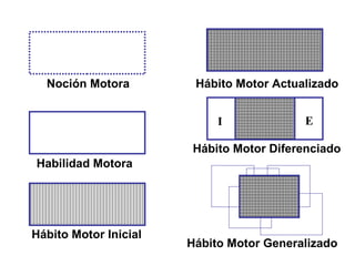 Noción Motora Habilidad Motora Hábito Motor Inicial Hábito Motor Actualizado Hábito Motor Diferenciado Hábito Motor Generalizado I E 