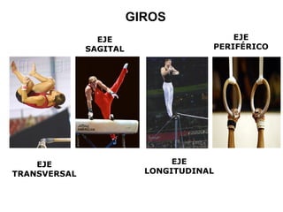 EJE  LONGITUDINAL  EJE TRANSVERSAL EJE SAGITAL EJE PERIFÉRICO GIROS 