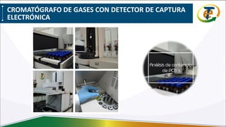 CROMATÓGRAFO DE GASES CON DETECTOR DE CAPTURA
ELECTRÓNICA
 