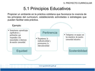 5. PROYECTO CURRICULAR

5.1 Principios Educativos
Propiciar un ambiente en la práctica cotidiana que favorezca la vivencia de
los principios del curriculum, estableciendo actividades o estrategias que
pueden facilitar esta práctica.
Ejemplo:

 
