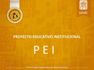 PROYECTO EDUCATIVO INSTITUCIONAL
P E I
 
