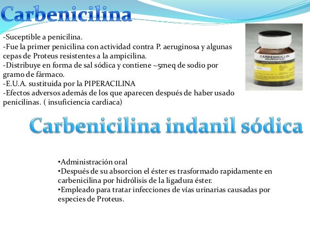 Presentacion Penicilinas 1
