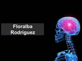Floralba
Rodríguez
 