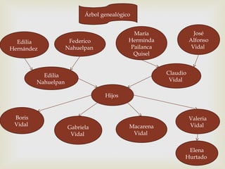 Edilia
Hernández
Federico
Nahuelpan
María
Herminda
Pailanca
Quisel
José
Alfonso
Vidal
Edilia
Nahuelpan
Claudio
Vidal
Valeria
Vidal
Elena
Hurtado
Árbol genealógico
Hijos
Boris
Vidal
Gabriela
Vidal
Macarena
Vidal
 