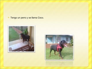    Tengo un perro y se llama Coco.
 