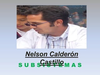 S U B S I S T E M A S
Nelson Calderón
Castillo
 
