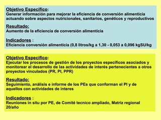 Objetivo Específico:
Generar información para mejorar la eficiencia de conversión alimenticia
actuando sobre aspectos nutricionales, sanitarios, genéticos y reproductivos
Resultado:
Aumento de la eficiencia de conversión alimenticia

Indicadores :
Eficiencia conversiòn alimenticia (0,8 litros/kg a 1,30 - 0,053 a 0,096 kgSU/kg


Objetivo Específico:
Ejecutar los procesos de gestión de los proyectos específicos asociados y
monitorear el desarrollo de las actividades de interés pertenecientes a otros
proyectos vinculados (PR, PI, PPR)

Resultado:
Seguimiento, análisis e informe de los PEs que conforman el PI y de
aquellos con actividades de interes

Indicadores :
Reuniones in situ por PE, de Comité tecnico ampliado, Matriz regional
20/año
 