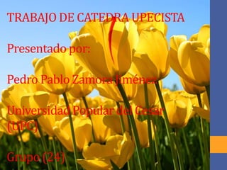 TRABAJO DE CATEDRA UPECISTA 
Presentado por: 
Pedro Pablo Zamora Jiménez 
Universidad Popular del Cesar 
(UPC) 
Grupo (24) 
 
