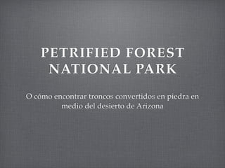 PETRIFIED FOREST
NATIONAL PARK
O cómo encontrar troncos convertidos en piedra en
medio del desierto de Arizona
 
