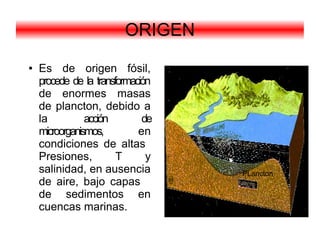 ORIGEN
●   Es de origen fósil,
    procede de la transformación
    de enormes masas
    de plancton, debido a
    la          acción        de
    microorganismos,         en
    condiciones de altas
    Presiones,          T      y
    salinidad, en ausencia         PLancton
    de aire, bajo capas
    de sedimentos en
    cuencas marinas.
 