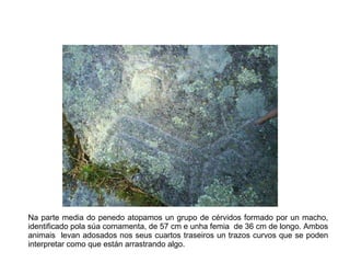 Na parte media do penedo atopamos un grupo de cérvidos formado por un macho, identificado pola súa cornamenta, de 57 cm e unha femia  de 36 cm de longo. Ambos animais  levan adosados nos seus cuartos traseiros un trazos curvos que se poden interpretar como que están arrastrando algo. 