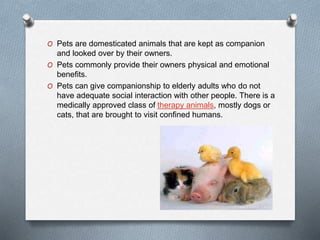 O Pets are domesticated animals that are kept as companion
and looked over by their owners.
O Pets commonly provide their owners physical and emotional
benefits.
O Pets can give companionship to elderly adults who do not
have adequate social interaction with other people. There is a
medically approved class of therapy animals, mostly dogs or
cats, that are brought to visit confined humans.