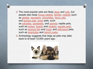 O The most popular pets are likely dogs and cats, but
people also keep house rabbits, ferrets; rodents such
as gerbils, hamsters, chinchillas, fancy rats,
and guinea pigs; avian pets, such
as canaries, parakeets, and parrots; reptile pets,
such as turtles, lizards and snakes; aquatic pets,
such as tropical fish and frogs; and arthropod pets,
such as tarantulas and hermit crabs.
O Archeology suggests that dogs as pets may date
back to at least 12,000 years ago.