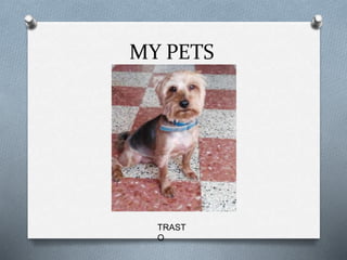MY PETS
TRAST
O